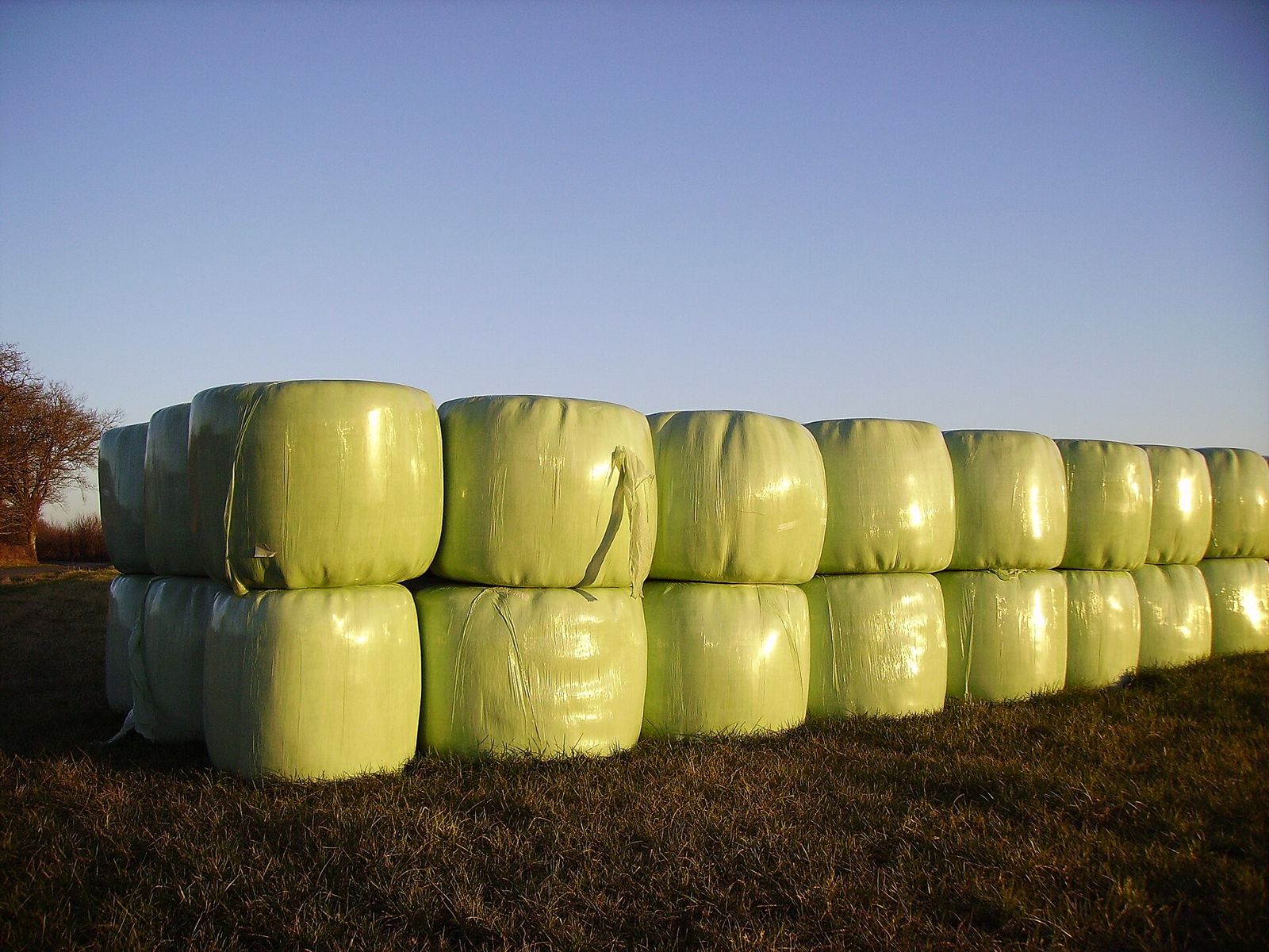 Balles de paille enrubannées de film plastique vert, empilées en bord de champ